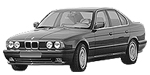 BMW E34 C20A9 Fault Code